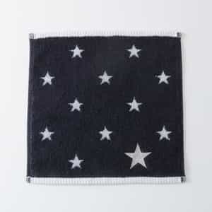 ネージュ ミニタオル（単品）