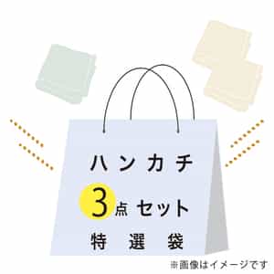 【期間限定値下げ中】お買い得ハンカチセット（タオルハンカチ3点）