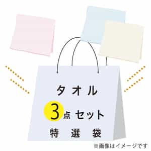 【期間限定値下げ中】特選袋有名ブランドタオルセット（バスタオル ×3点）