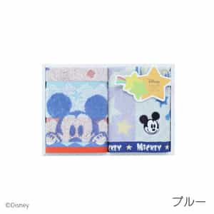 ハピネスフレーク　ゲストタオル2枚　　　　　　